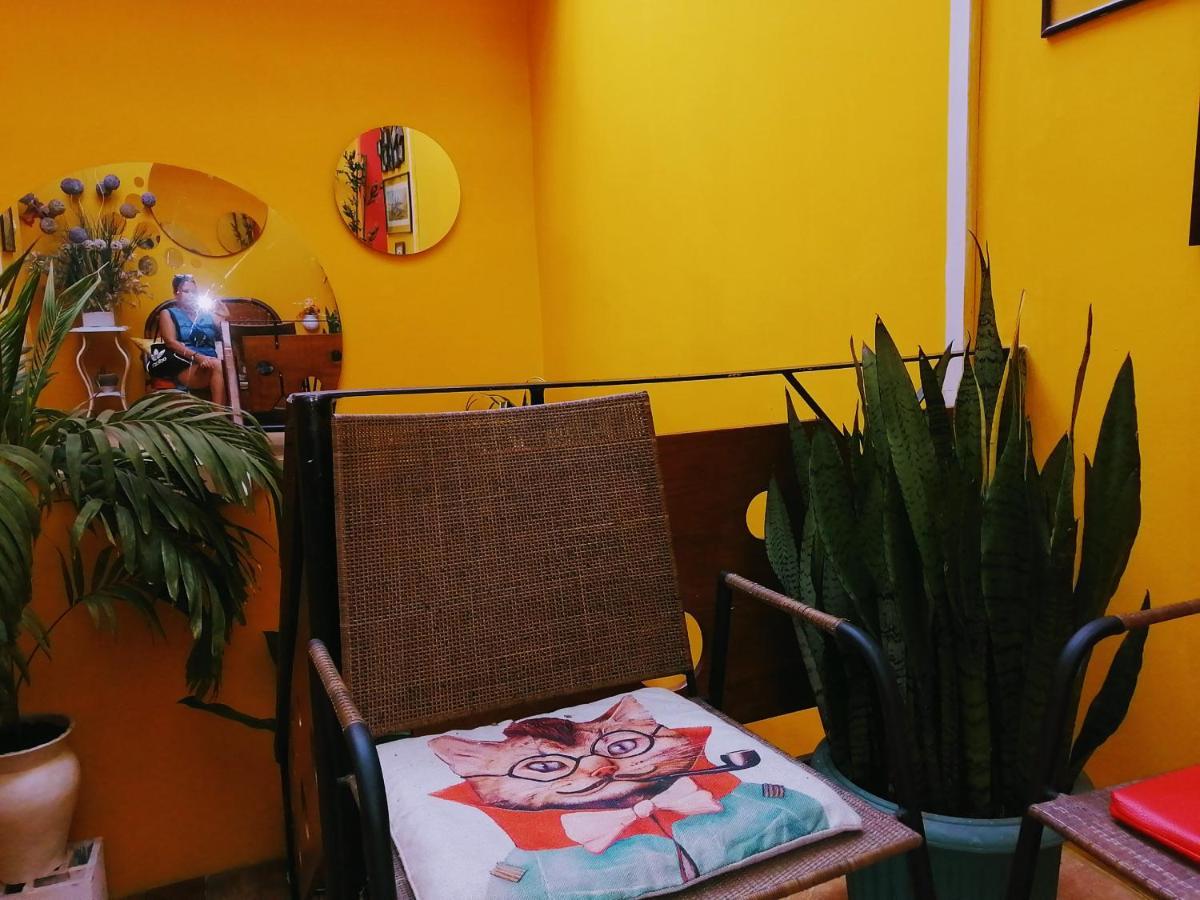 Stylus Hotel Ικίτος Εξωτερικό φωτογραφία